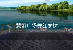 慧姐广场舞红枣树