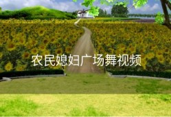 农民媳妇广场舞视频