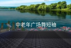 中老年广场舞短袖