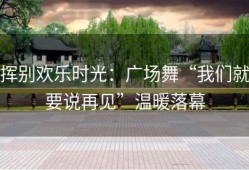 挥别欢乐时光：广场舞“我们就要说再见”温暖落幕