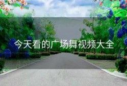 今天看的广场舞视频大全