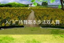 入门广场舞基本步法双人舞