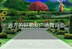 远方的好朋友广场舞背面