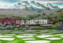 印度欢快广场舞