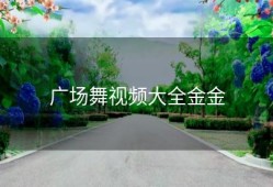 广场舞视频大全金金