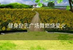 健身励志广场舞燃烧爱火