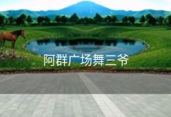 阿群广场舞三爷