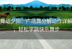 舞动夕阳：广场舞分解动作详解，轻松学跳快乐舞步