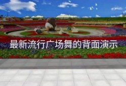 最新流行广场舞的背面演示