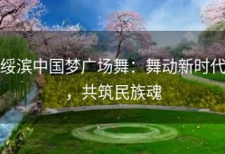 绥滨中国梦广场舞：舞动新时代，共筑民族魂