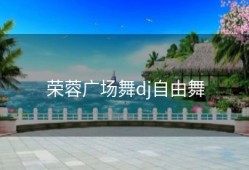 荣蓉广场舞dj自由舞