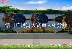 信阳广场舞大赛单人组分数