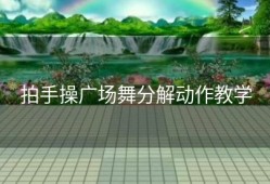 拍手操广场舞分解动作教学