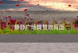 静静广场舞赞歌背面