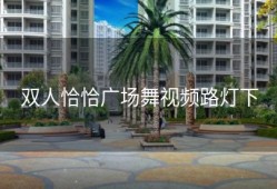 双人恰恰广场舞视频路灯下