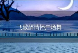 飞歌醉情怀广场舞