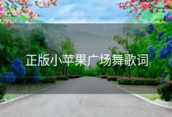 正版小苹果广场舞歌词