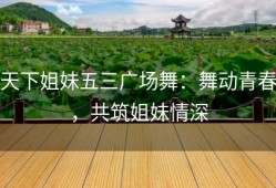天下姐妹五三广场舞：舞动青春，共筑姐妹情深