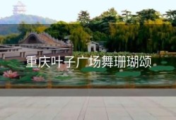 重庆叶子广场舞珊瑚颂