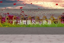 广场舞晨风vip资源