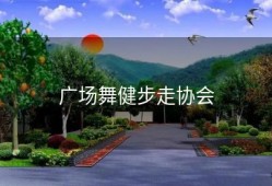 广场舞健步走协会