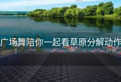 广场舞陪你一起看草原分解动作