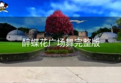 醉蝶花广场舞完整版