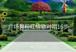 广场舞粉红情歌对唱16步