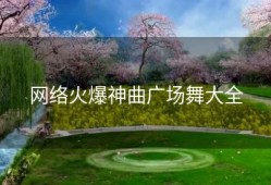 网络火爆神曲广场舞大全