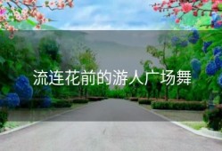 流连花前的游人广场舞