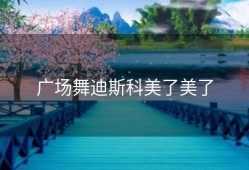 广场舞迪斯科美了美了