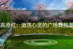 高原红：激荡心灵的广场舞热潮