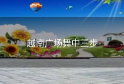 越南广场舞中三步