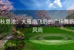 秋意浓：大雁南飞后的广场舞新风尚