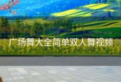 广场舞大全简单双人舞视频
