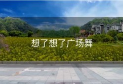 想了想了广场舞