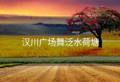 汉川广场舞泛水荷塘