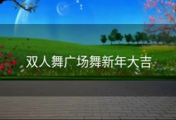 双人舞广场舞新年大吉