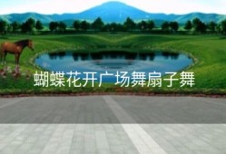 蝴蝶花开广场舞扇子舞