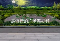 最流行的广场舞视频