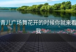 青儿广场舞花开的时候你就来看我