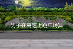 男子在高速上跳广场舞