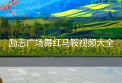 励志广场舞红马鞍视频大全