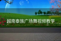 越南泰族广场舞视频教学