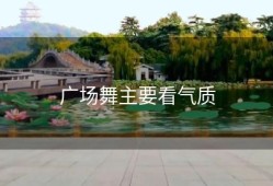 广场舞主要看气质