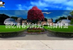 回忆青春的时光广场舞背面