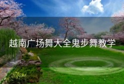越南广场舞大全鬼步舞教学
