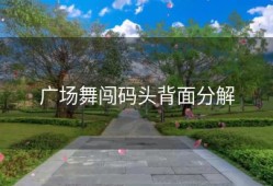 广场舞闯码头背面分解