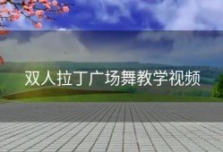 双人拉丁广场舞教学视频