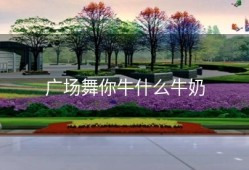 广场舞你牛什么牛奶